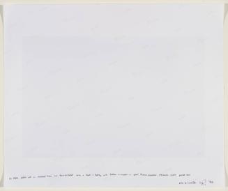 Zhari-Panjwai District, Kandahar, Afghanistan - A soldier from the Afghan National Army (ANA) pets an abandoned horse on the front lines in the Howz-E-Madad area during a break in fighting with Taliban insurgents in a joint operation with Canadian Forces in the Zhari District of Afghanistan which along with nearby Panjwai are the most volatile areas in the country and the scene of heavy fighting with Taliban insurgents, which has become the site of the largest land battles in NATO's history
