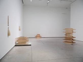 Horse Hair Question 1