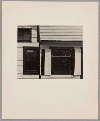 Florida Landscape - Wall Abstract
