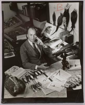 Dr. Sidney Dillon Ripley with stuffed birds, [ornithologist, New York]
