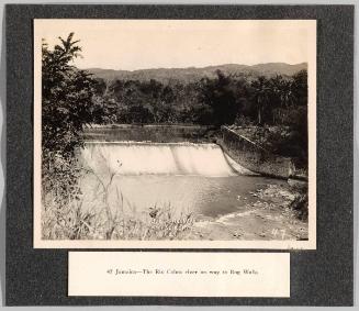 [The Rio Cobra River on Way to Bog Walk]