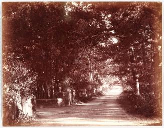 Country Lane, Bermuda