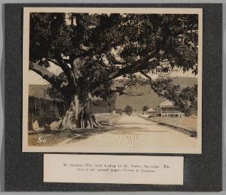 Road Leading to the Native Barracks, Jamaica