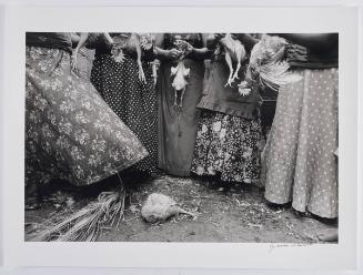 Limpia de pollos, Juchitán, México (Cleaning Chickens,  Juchitan, Mexico)