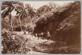 In the Mountains of Dominica, ca 1890