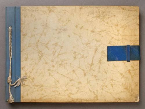 Store & Window Displays