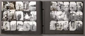 Young Adult Friends in Toronto