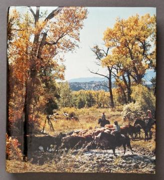 Helen`s Canadian Women`s Army Corps Reunion Album