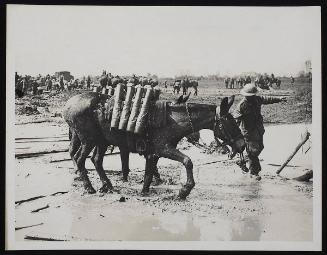The ubiquitous mud! Pack mules with ammunition moving forward