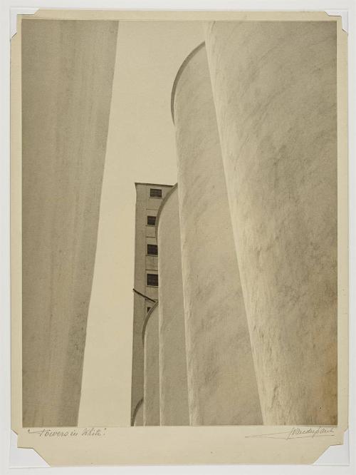 No.2, Towers in White