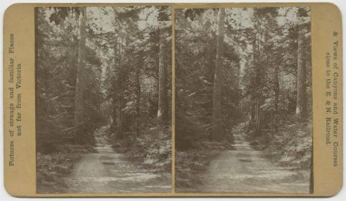 [Albert Head Road, Vancouver Island]