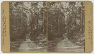 [Albert Head Road, Vancouver Island]