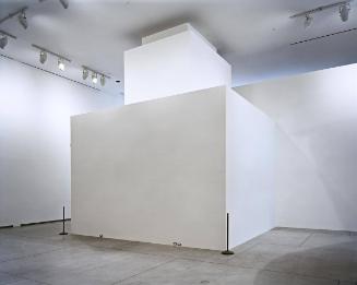 Richard Rooney and Laura Dinner Gallery exterior, from the Michael and Sonja Koerner Gallery; In progress, preparation of gallery space