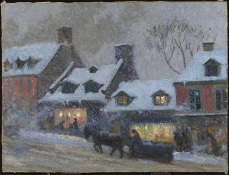 The Bird Shop, St. Lawrence Street