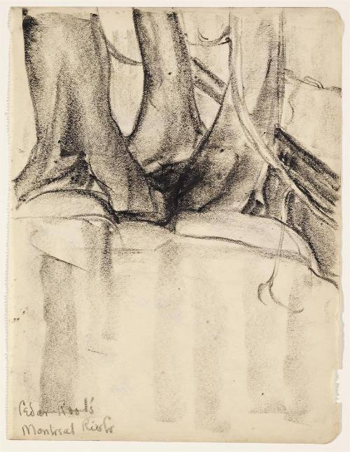 Cedar Roots Montreal River