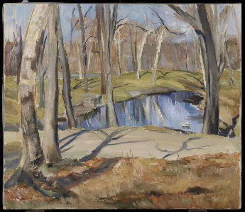 Spring on Mount Royal