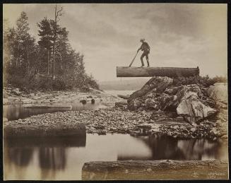 [Man balancing on cut log]