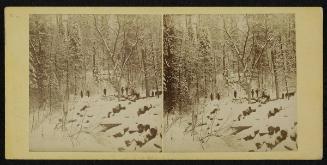 A Rollway in pine bush, Lievre River