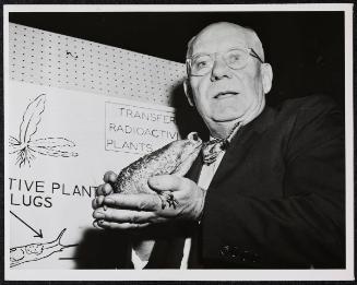 Peaceful Uses of Atomic Energy: Dr. E.M.K Geiling, professor of Pharmacology in the School of Medicine at the University of chicago, holds a tropical toad used in atomic energy experiments with drugs of medical importance