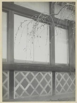 Side of Building and Cherry Blossom (version 1)