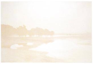 Marais au bord de la Mer  Plate III from Cantiques des Creatures