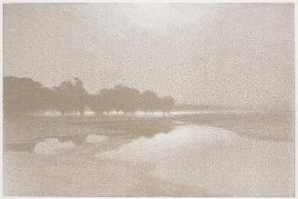 Marais au bord de la Mer  Plate III from Cantiques des Creatures