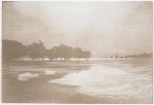 Marais au bord de la Mer  Plate III from Cantiques des Creatures