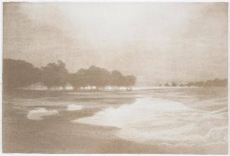 Marais au bord de la Mer  Plate III from Cantiques des Creatures