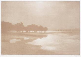 Marais au bord de la Mer  Plate III from Cantiques des Creatures