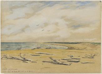 Beach near the Mouth of the Moisie, the Seven Islands in the Distance