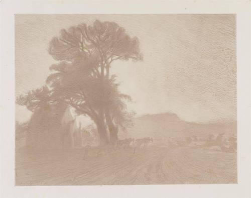 La Chapelle a Minerville  Plate VI from  Cantiques des Créatures