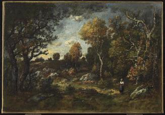 Automne dans la forêt