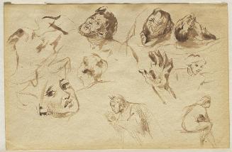 Studies Including Head of Dante