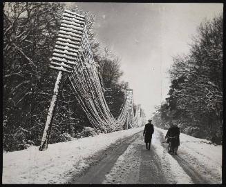 A snowstorm has raged along the southcoast.