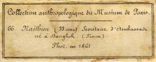 66. Naïlbim (33 years old) Embassy secretary born in Bangkok (Siam, now Thailand)