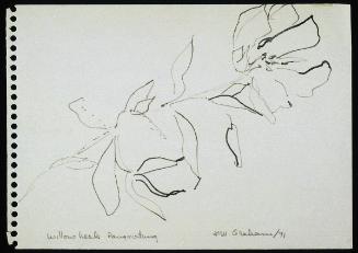 Willow Herb, Pangnirtung