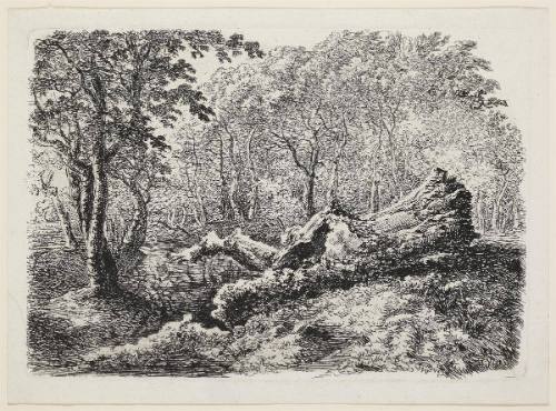 Der mordende Baustamm