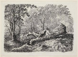 Johann Georg von Dillis