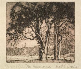 Untitled (Trees in landscape)
