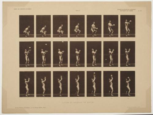 Etudes de Physiologie Artistique, plate 3
