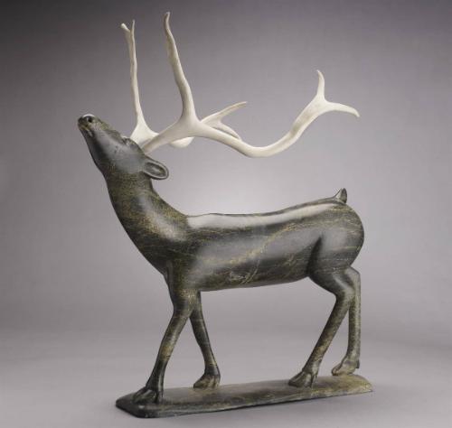 Standing Caribou