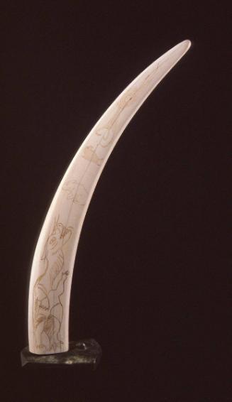 Incised Tusk