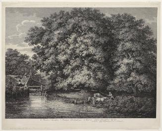 Die Muehle bei den Grossen Eichen