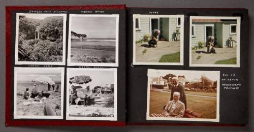 Fred and His Family and Friends, New Zealand