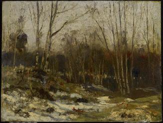 Winter Landscape