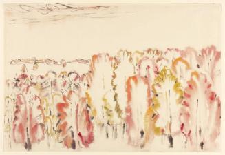 Corner of the Big Bush