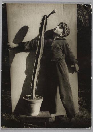 Cactus plants grow to various heights..