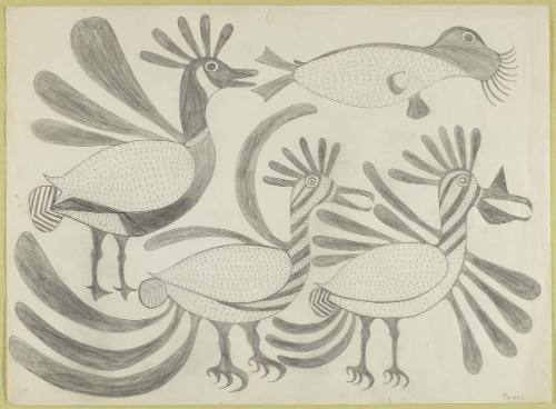 Three Birds and Seal