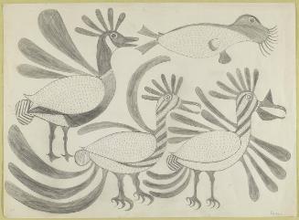 Three Birds and Seal