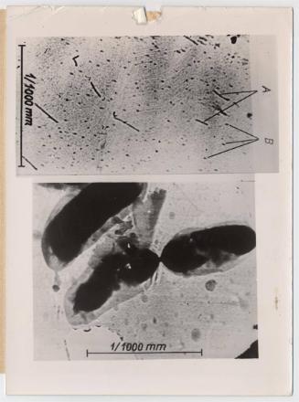 A New Sensation in the World of Science - the Super Electron-Microscope.